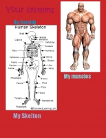 *