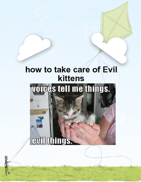 how to take care of evil kitties