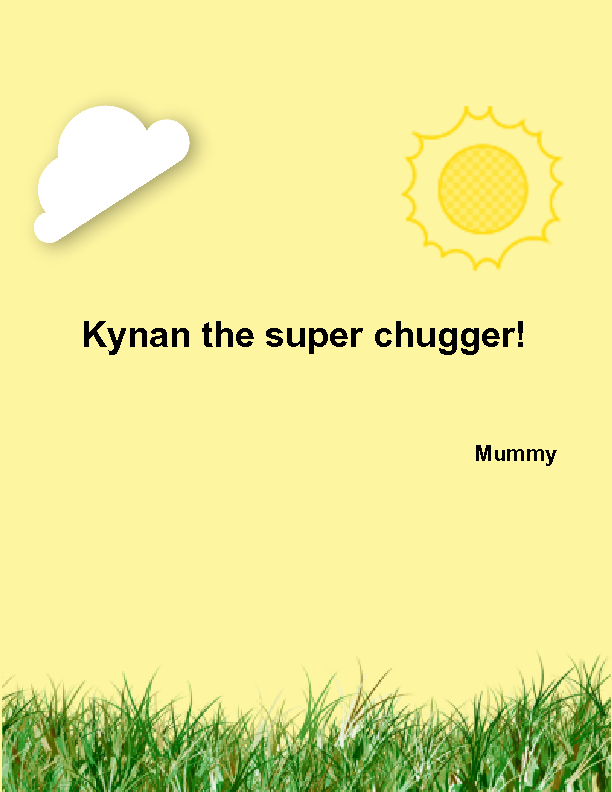 book cover