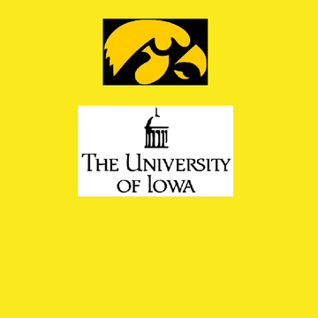University Of Iowa