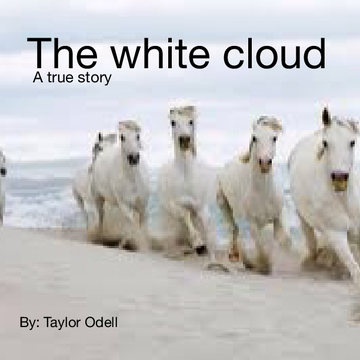 The white cloud