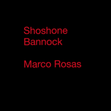 Shoshone bannock