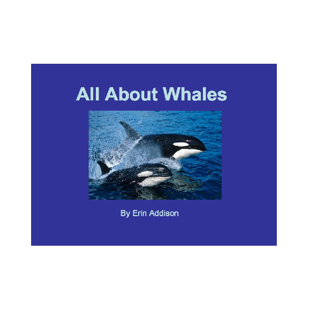 All About Whales | Book 43155