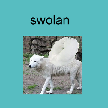 *