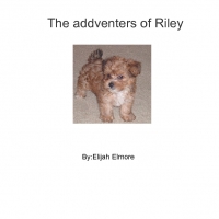 The addventers of Riley