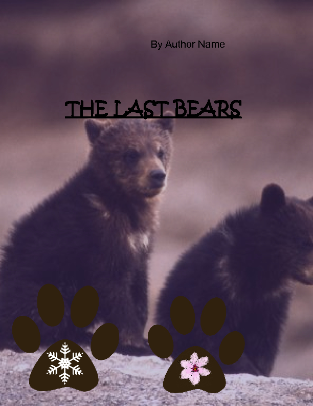 book cover
