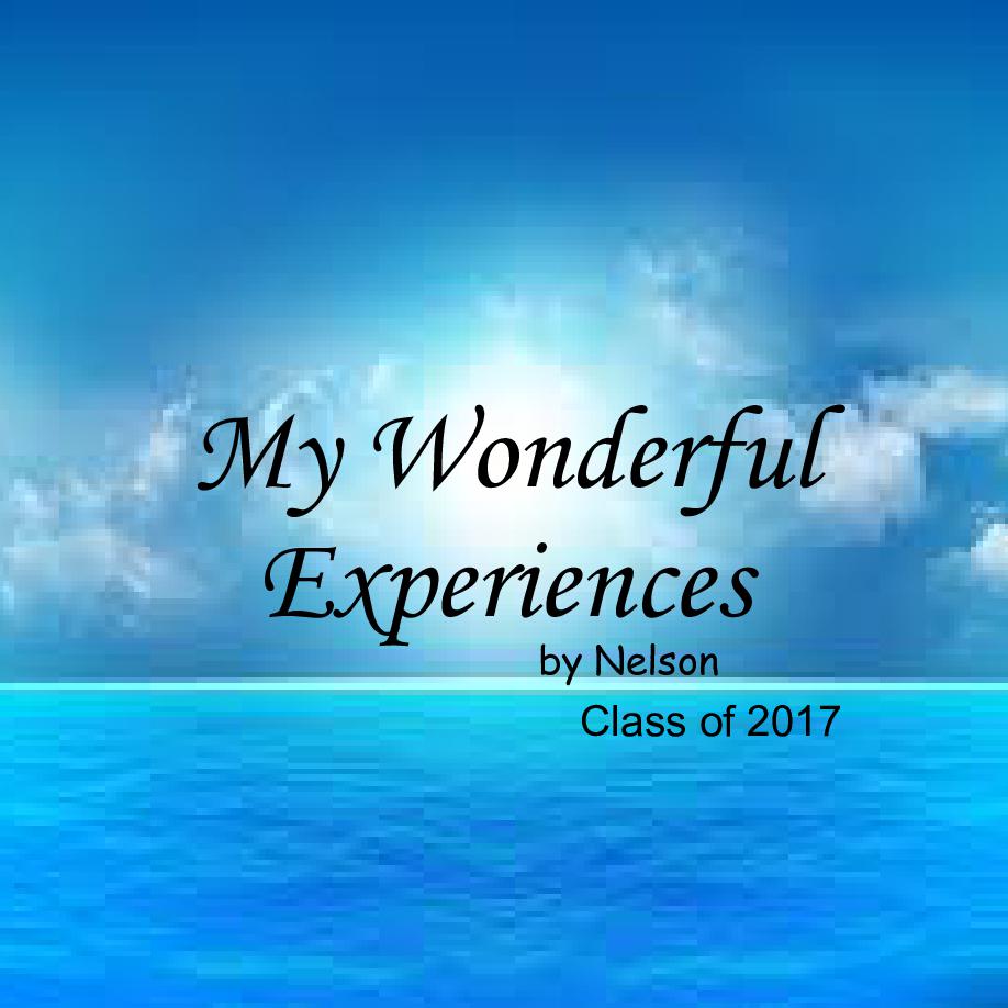 My Wonderful Experiences Book 453453 Bookemon