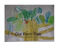 Our Puriri Tree