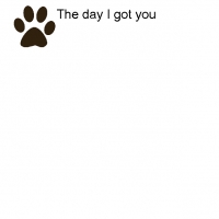 *