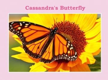 Cassandra's Butterfly