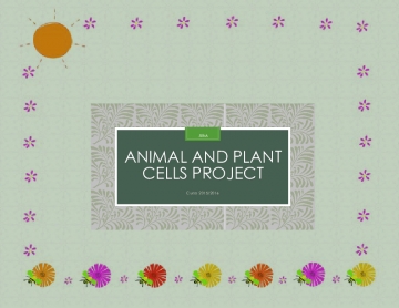 Plasticine Cells Project