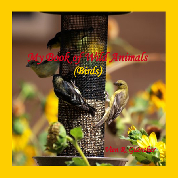 My Book of Wild Animals - BIRDS