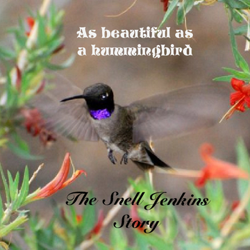 As beautiful as a hummingbird