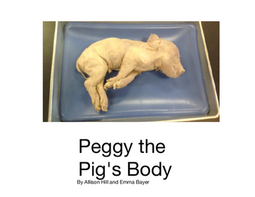 Peggy the pig's body
