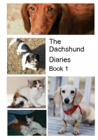 The Dachshund Diaries