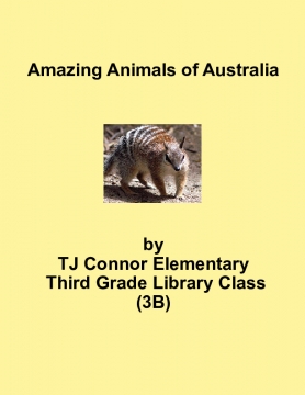 Amazing Animals of Australia