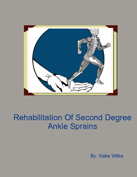 Rehabilitation For A Second Degree Ankle Sprain
