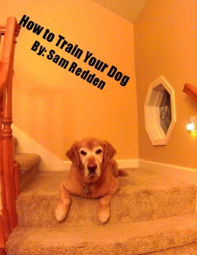 How to Train Your Dog