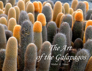 The Art of The Galapagos