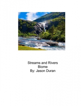 Streams and Rivers Biome