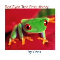 Red Eyed Tree Frog History