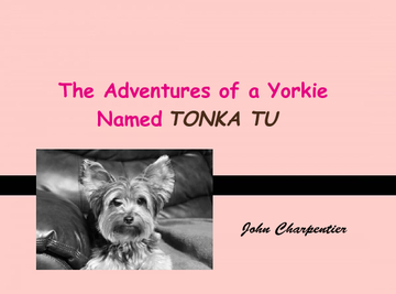 The Adventures of a Yorkie Named Tonka Tu