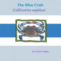 The Blue Crab