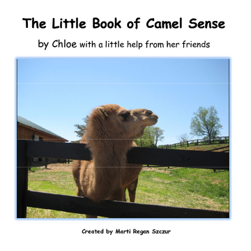 The Little Book of Camel Sense