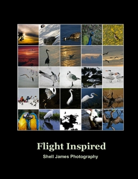 Flight Inspired