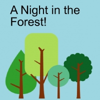 A Night in the Forest