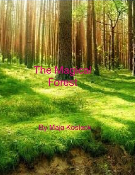 The Magical Forest