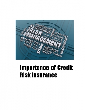Importance of Credit Risk Insurance