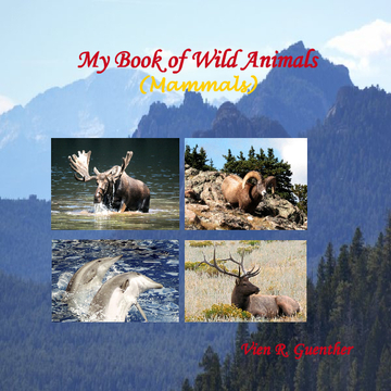 My Book of Wild Animals