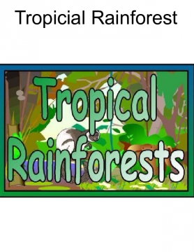 Tropical Rainforest