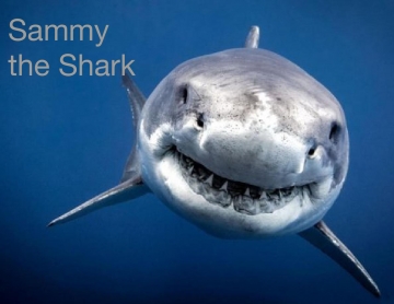 Sammy the Shark