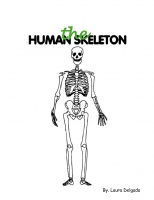 The Skeleton System