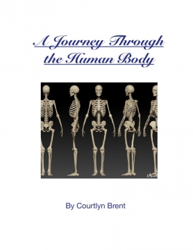 A journey through the human body