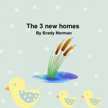 The 3 new homes