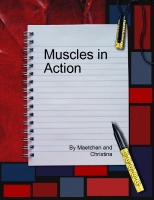 Muscles in Action