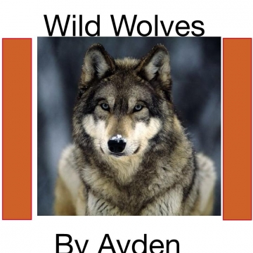 Wild Wolves