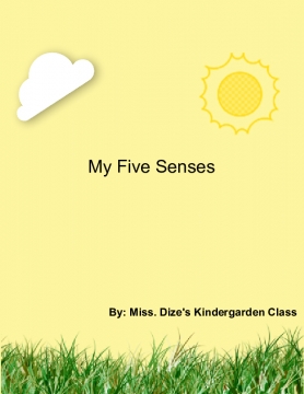 My Five Senses