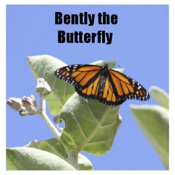 Bently the Butterfly