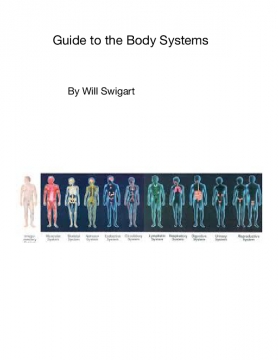 Guide to the Body Systems