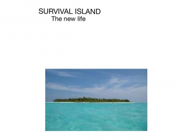 Survival island
