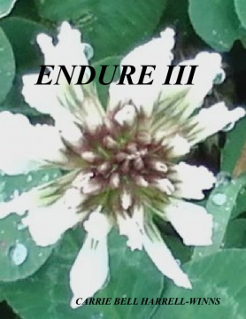 ENDURE III
