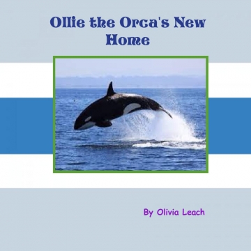 Ollie the Orca's New Home