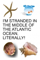 I'M STRANDED IN THE MIDDLE OF THE ATLANTIC OCEAN, LITERALLY!
