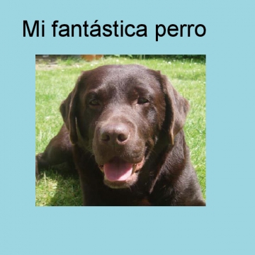 Mi Fantastica perro