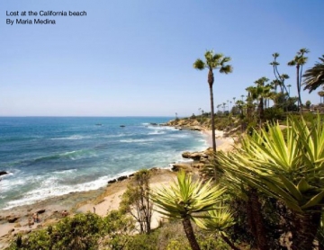 LOST AT THE CALIFORNIA BEACH