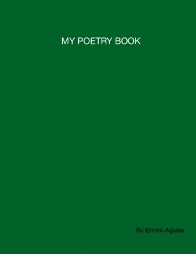 MY POETRY BOOK